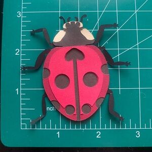 3D Scrapbook Accent Sticker Ladybug